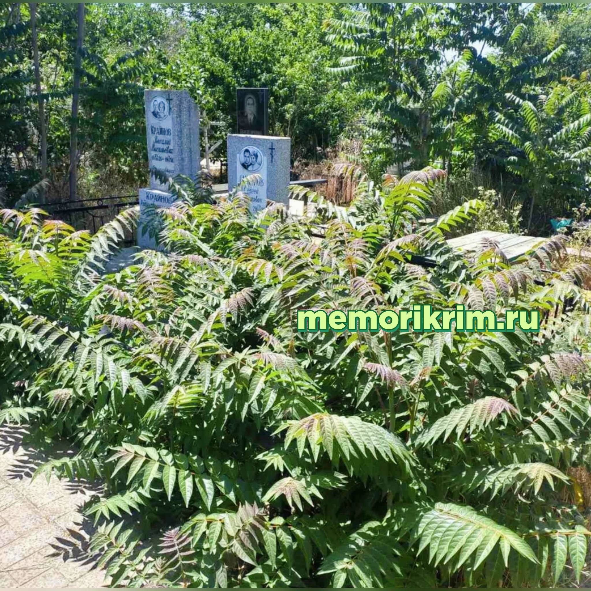 Запущенная могила до уборки, Ялта